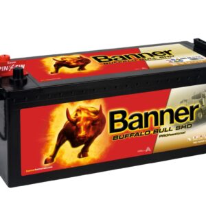 Banner Buffalo PRO 145 Ah 12V 800A akumuliatorius 514x189x195/220mm - Image 1