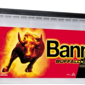 Banner 150Ah 1150A Buffalo Bull HIGH CURRENT akumuliatorius 514x189x195/220mm - Image 1