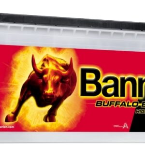 Banner 180Ah 1400A Buffalo Bull HIGH CURRENT akumuliatorius 12V 514x223x195/220 - Image 1