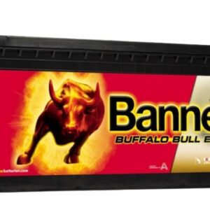 Banner 240Ah 1200A Buffalo Bull EFB akumuliatorius 12V 517X273X212/240mm - Image 1